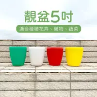 在飛比找PChome24h購物優惠-靚盆/花盆/盆栽-5吋(3入組)