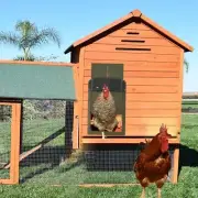 Automatic Chicken Coop Door, Smart Chicken Coop Door Opener,Light Sensing ,Green