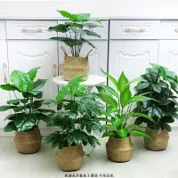 在飛比找樂天市場購物網優惠-仿真植物 龜背芋盆栽 懶人盆栽 龜背竹 植栽 仿真盆栽 盆栽