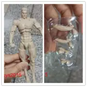 In Stock Romankey 1/12 Pale Super Flexible Man Body Male 6''Joint Figure Gift