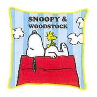 在飛比找蝦皮購物優惠-日本史努比 snoopy 貝兒 抱枕