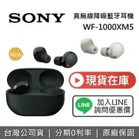 在飛比找樂天市場購物網優惠-【輸入折扣碼！APP下單點數9%回饋】SONY 索尼 WF-