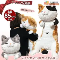 在飛比找露天拍賣優惠-日本正版SHIBA橘貓公仔貓咪老師毛絨玩具床上懶人抱枕男女生