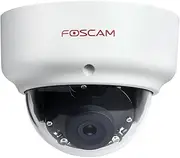 Foscam D2EP Outdoor HD 2MP Infrared IP Camera 20M Intelligent Motion Detection Compatible with Amazon Alexa