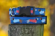 Dachshund Doggies dog collar med, large, x-large