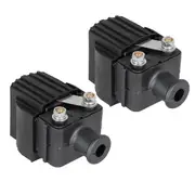 2Pcs Outboard Boat Ignition Coil 339-832757A for Mercury Mariner 6-225HP Engine 339-7370A13 339-835757A3 18-5186 Black