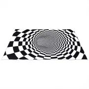 Boyle 3D Printed 110x160cm Floor Rug Carpet Mat Room/Home Decor Checker Tunnel