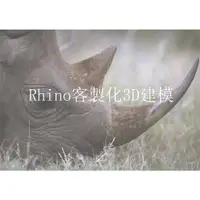 在飛比找蝦皮購物優惠-Rhino客製化工業產品設計3D建模