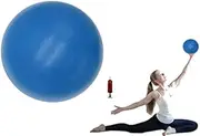 Exercise Ball Small, 6 inch Small Ball for Pilates with Pump, 6 in Barre Ball, 6" Stability Ball Mini Yoga Ball for Women Workout Fitness Physical Therapy PT