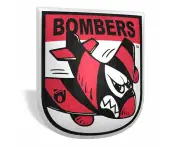 AFL Mascot Shaped Cushion - Essendon Bombers - 35cm x 40cm - Pillow