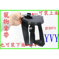 在飛比找蝦皮購物優惠-gopro 寵物 背帶 肩帶 狗狗背帶 HERO4 SJ40