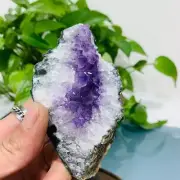 331g Natural Amethyst Geode Mineral Specimen Crystal Quartz Energy Decoration