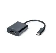 USB-C to DisplayPort Adapter with 4K Support 10cm Cable