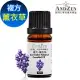 ANDZEN天然草本複方精油10ml-薰衣草