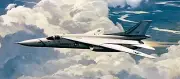 Aardvark F-111 Tactical Attack Fighter Aircraft Mahogany Wood Model Large New