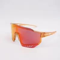 在飛比找蝦皮商城優惠-GIANT 101 AP 偏光太陽眼鏡 附近視框 四色可選 