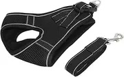 Dog Harness with Leash Escape Proof Walking Adjustable Step-in Pet Mesh Vest Harness and Leash Set for Small Medium Large Dogs (S)