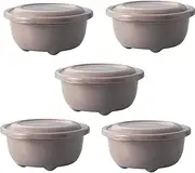 TAKEYA 5-Piece Microwave Fluffy Rice Set, 8.5 fl oz (250 ml), Beige, Made in Japan, Dishwasher Safe, Freezer & Refrigerator Safe, Uneven Heating Prevention, Minimalist Style, Rice Storage Container