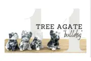 Crystal Bulldog Tree Agate - Relaxation Growth Truth - Rare Hard to find Shape