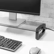 Monitor Desk Stand with USB 3.0 Charging Hub - Black