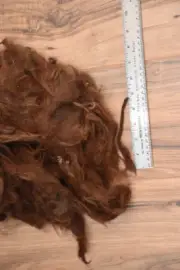 Alpaca Wool Fiber Fleece 2nds copper Max 6oz