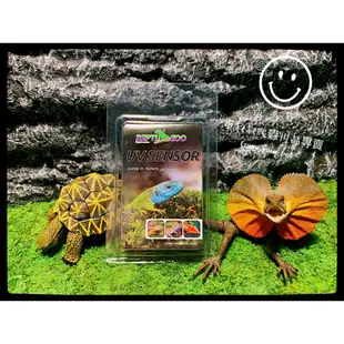 蛋叔叔-REPTIZOO UV紫外線測試卡/紫外線燈/UVB/10.0/5.0/沙漠型/雨林型/陸龜/變色龍/鬆獅蜥