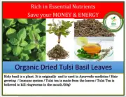 Dried Tulsi Basil Organic Leaves Holy Herbs Pure Sanctum Ocimum Tea