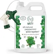 Minty Spider Repellent, Natural 5% Peppermint Oil Spray, Kills & Deters All Types of Spiders and Insects, Indoor and Outdoor Use, 128 fl oz Gallon