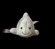 Mary Meyer Sea Shark Finger Puppet Plush New Excellent Condition 4 Inch