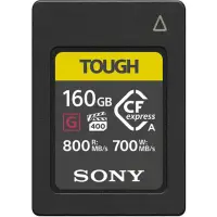 在飛比找momo購物網優惠-【SONY 索尼】CEA-G160T 160G/GB 800