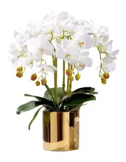 [Vicky Yao] Real Touch 5 Stems White Orchids Arrangement