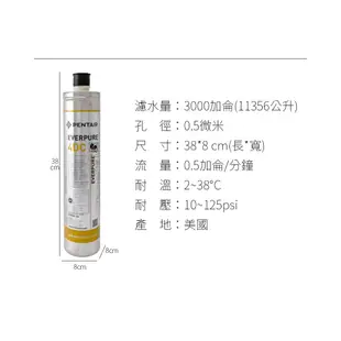 公司貨(立凡) EVERPURE 4DC 濾心