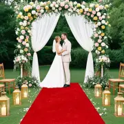 Red Carpet Runner for Party Velvet Aisle Runner for Wedding Ceremony 4x20 FT ...