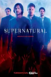 Supernatural poster (n) - 11 x 17 inches - Jared Padalecki, Jensen Ackles