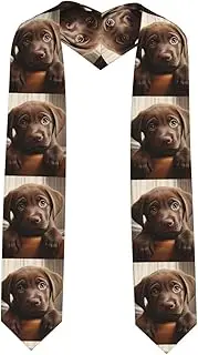 [VPPUR] Cute Labrador Dog 1 Print Unisex Adult Graduation Stole Class Of 2024 Shawl Stole Class Celebrations Events