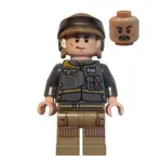 樂高人偶王 LEGO 星戰系列#75154  SW0786REBEL TROOPER