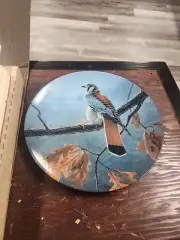Majestic Bird American Kestrel 1989 Collectors Plate Daniel Smith Artist