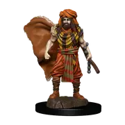 D&D Premium Painted Figures Human Druid Male