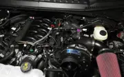 Ford F-150 5.0 Procharger P1SC1 Supercharger Stage II Intercooled 21-25 No Tune
