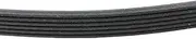 Parts Number 6PK1995 Belt Pack of 1 Piece