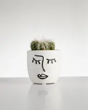 Cactus “Esposta” cluster in Face Pot (60mm)