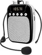 Megafone Bullhorn for Megaphone Portable Voice Amplifier Teacher Microphone Speaker Recording with Mp3 Player FM Radio TF Card USB (Color : TT123 to TR623, Size : 1) Little Surprise