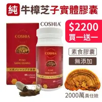 在飛比找ETMall東森購物網優惠-【COSHIA科雅健研】PI-365 野生桑黃子實體素食膠囊