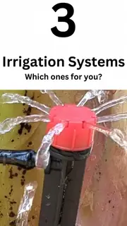 Buy a Fruit Tree Irrigation System - Suitable for Town Water Pressure