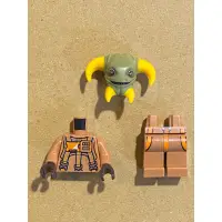 在飛比找蝦皮購物優惠-LEGO 樂高 人偶 布里歐 星際大戰 75257