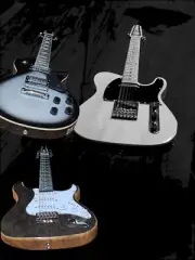 BANKRUPTCY-YOU PICK THE NEW 12 STRING ELECTRIC GUITAR-STRAT-TELE-LP GUITAR STYLE