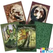 Faery Blessing Cards Deck cards Esoteric Cavendish Brown Blue Angel FABC45