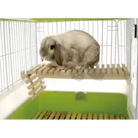 在飛比找蝦皮購物優惠-★動物雲 SNOW的家★日本Marukan-天然木兔兔專用吊