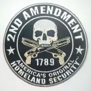 2nd Amendment America's Original Homeland Security Patch - FREE US Shipping !