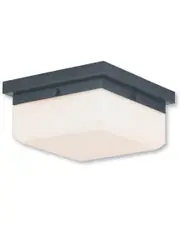 Livex Allure 2-Light EBZ Wall Sconce/Ceiling Mount